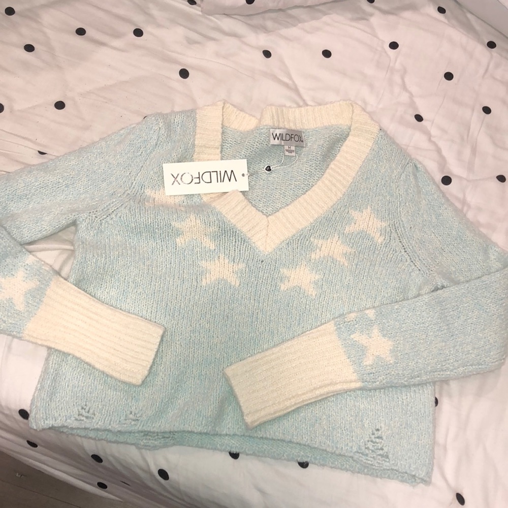 Wildfox light blue sweater